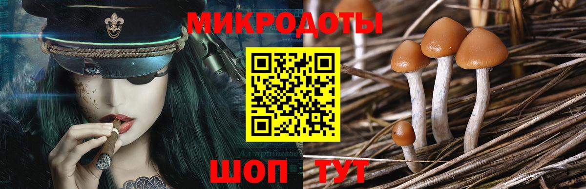 Псилоцибиновые грибы мицелий  Вход с VPN  Дедовск  Галлюциногенные грибы GOLDEN TEACHER 